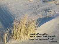 Tod Abschied IMG 1721-001