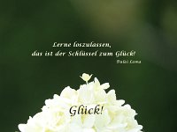Glueck 13-P1110027-009